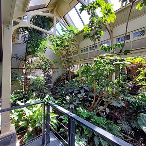 Bird House, Indoor Tropical Exhibit