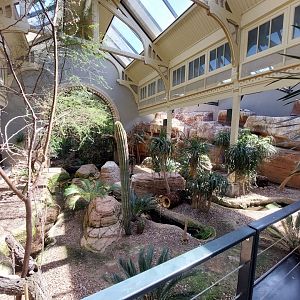 Bird House, Indoor Desert Exhibit