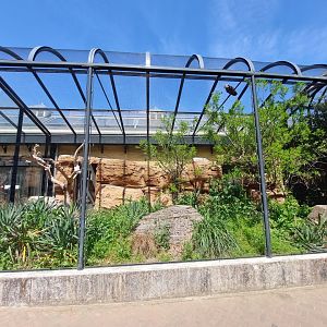 Bird House, Outdoor Desert Aviary 2 (From Walkthrough Exhibit)