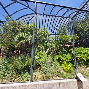 Bird House, Outdoor Tropical Aviary 1