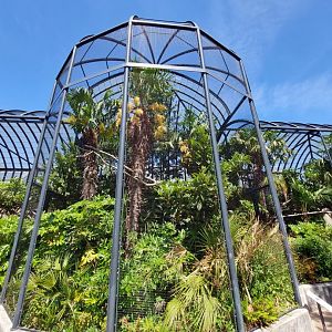 Bird House, Outdoor Tropical Aviary 2 (From Walkthrough Exhibit)