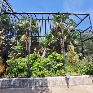 Bird House, Outdoor Tropical Aviary 3