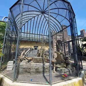 Bird House, Outdoor Kea Aviary