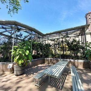 Bird House, Outdoor Himalayan Monal Aviary