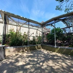 Forest House, Outdoor Satyr Tragopan Aviary