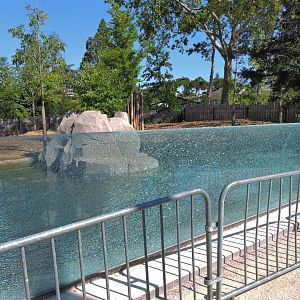 Tapir exhibit window [2015]