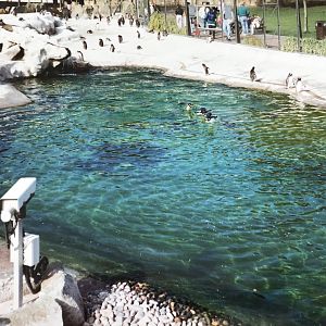 Penguin enclosure 1990s