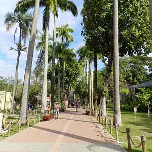Main avenue - BioParque do Rio