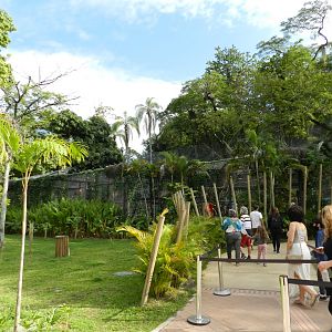 Tropical immersion entrance - BioParque do Rio