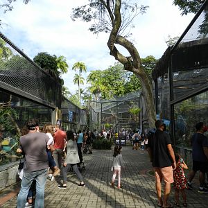 Tropical immersion corridor - BioParque do Rio