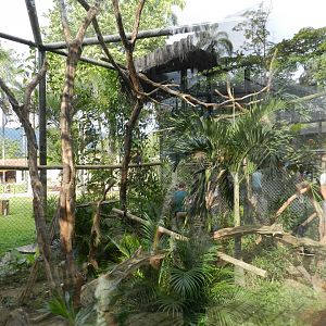 Hyacinth macaw/toco toucan exhibit - BioParque do Rio