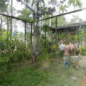 Guanabara Bay exhibit - BioParque do Rio