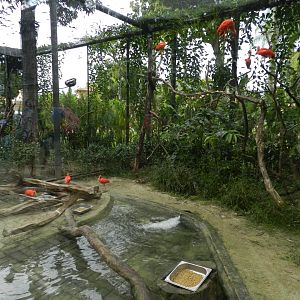 Guanabara Bay exhibit - BioParque do Rio