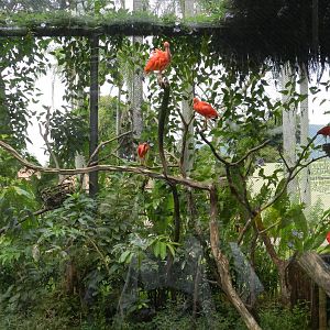 Guanabara Bay exhibit - BioParque do Rio