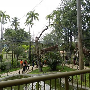 Tropical immersion, immersive aviary - BioParque do Rio