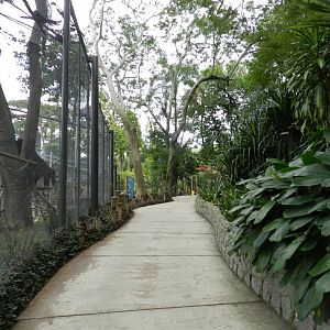 Tropical immersion, exit - BioParque do Rio