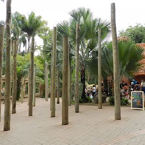 Reptile square - BioParque do Rio
