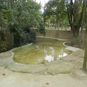 Reptile village, empty exhibit - BioParque do Rio