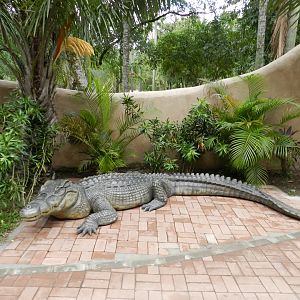 Reptile village, crocodile statue - BioParque do Rio