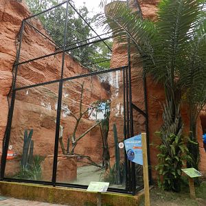 Lear's macaw exhibit - BioParque do Rio