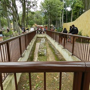 Archeological area - BioParque do Rio