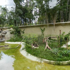 Python exhibit - BioParque do Rio
