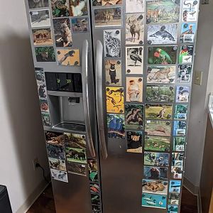 Ungulatenerd92's Refrigerator II