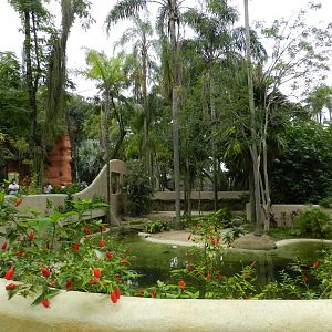 Caiman/turtle exhibit - BioParque do Rio