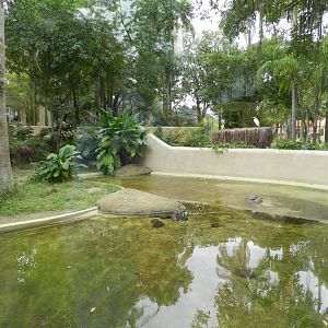 Caiman/turtle exhibit - BioParque do Rio