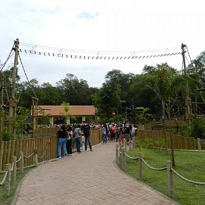 Amazonian primates islands - BioParque do Rio