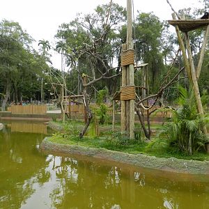 Amazonian primates islands - BioParque do Rio