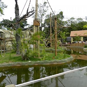 Amazonian primates islands - BioParque do Rio