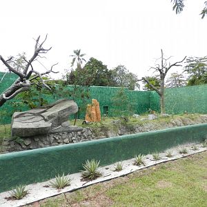 Maned wolf exhibit - BioParque do Rio