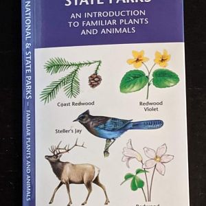 Redwood National & State Parks, California