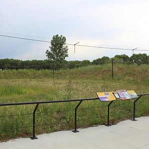 Sandhill Crane Exhibit