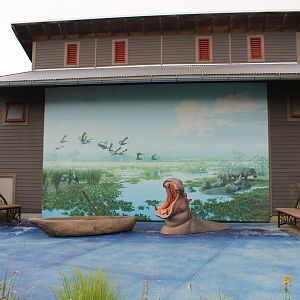 African River Display