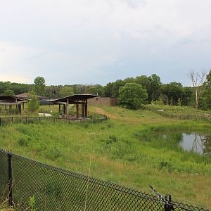 Wattled Crane Exhibit