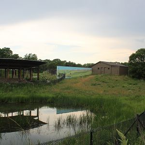 Wattled Crane Exhibit