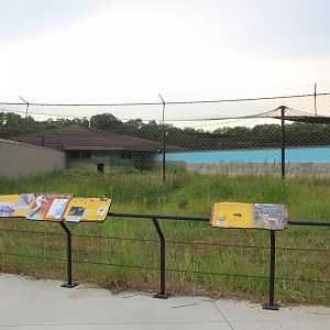 Hooded Crane Exhibit