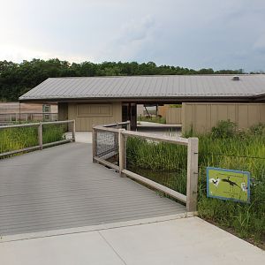 Whooping Crane Alcove