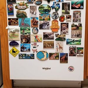 My dishwasher, before the puppy started eating magnets