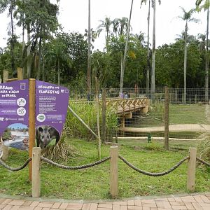Cerrado biome exhibit - BioParque do Rio