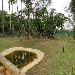 Cerrado biome exhibit - BioParque do Rio
