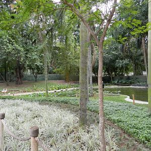 Burle marx gardens - BioParque do Rio