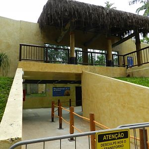 Lion exhibit - BioParque do Rio