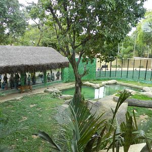 Bengal tiger exhibit - BioParque do Rio