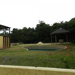 Asian area - BioParque do Rio