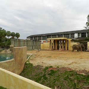 Asian area - BioParque do Rio