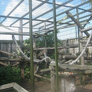 Munkholm Zoo - Patas monkey exhibit (outdoors)