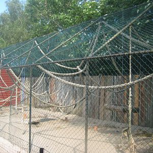 Munkholm Zoo - Macaque exhibit (outdoors)